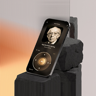 music player - cover - hibameta